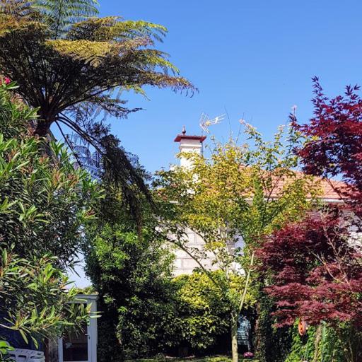 Apartmán Casa Magda Vigo Exteriér fotografie